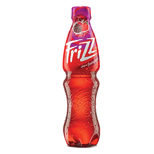 GASEOSA FRUTOS ROJOS FRIZZ *370 ML