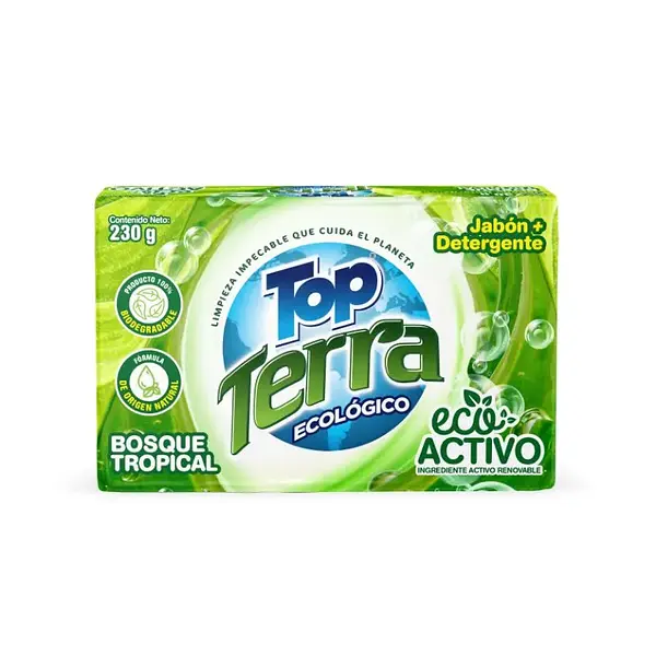 JABON BARRA TERRA DERSA*230GR