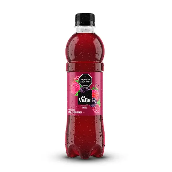 JUGO MORA DEL VALLE*500ML