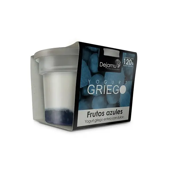 YOGURT GRIEGO FRUTOS AZULES DEJAMU*160G