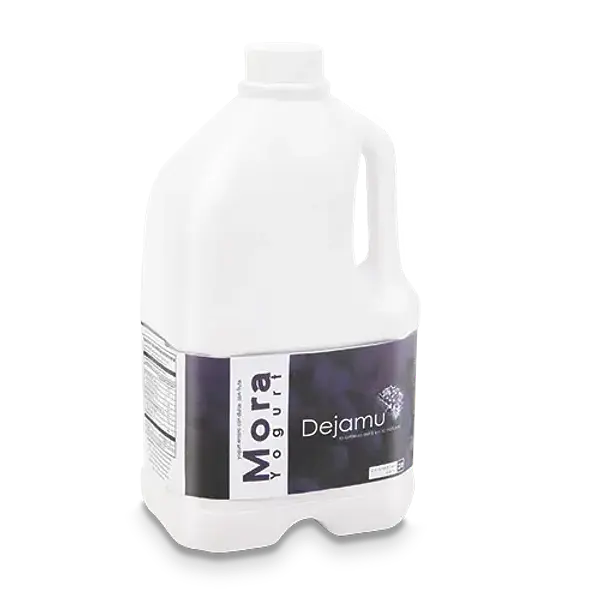 YOGURT MORA STEVIA DEJAMU *2LT