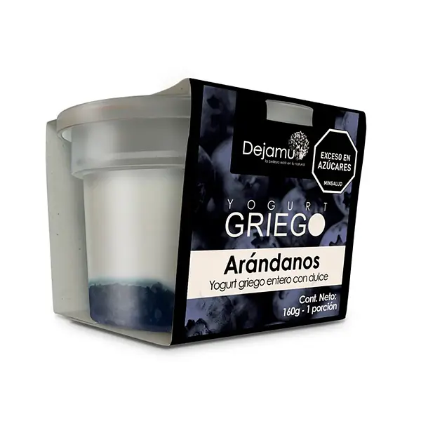 YOGURT GRIEGO ARANDANOS DEJAMU *160
