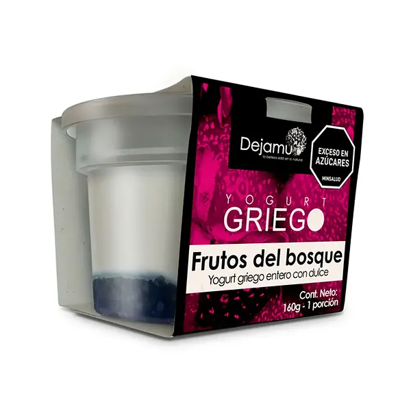 YOGURT GRIEGO FRUTOS BOSQUE DEJAMU*160G