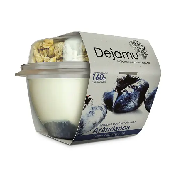 YOGURT GRIEGO ARANDANOS GRANOLADEJA