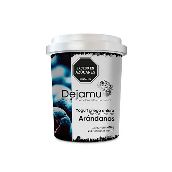 YOGURT GRIEGO ARANDANOS DEJAMU*500G